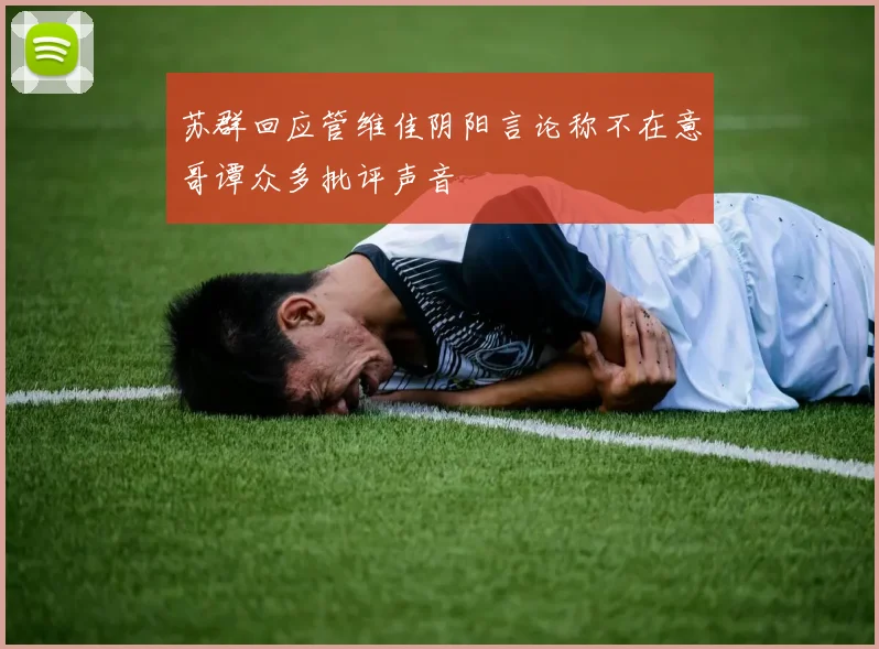 苏群回应管维佳阴阳言论称不在意哥谭众多批评声音