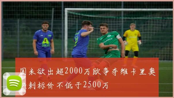 国米欲出超2000万欧争夺维卡里奥热刺标价不低于2500万