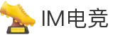 IM电竞官网-2025亚洲赛事独家直播\&专业电竞数据分析"